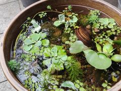 -川匠·睡眠采耳·SPA(九眼桥店)