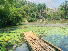 -中国科学院西双版纳热带植物园