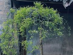 -金堂县云顶石城风景区