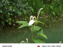 -英西峰林·洞天仙境