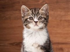 -万达影城(锦华万达广场IMAX店)