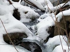 -秦岭风景区