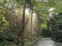 -云溪植物园