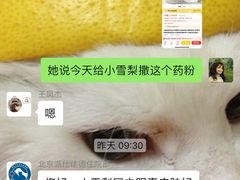 -北京派仕佳德动物医院·超导核磁·CT·神经科·骨科·内外科·急重症管理中心