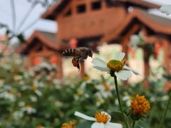 -广州神农草堂中医药博物馆