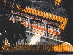 -颐和园