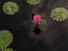 -云溪植物园