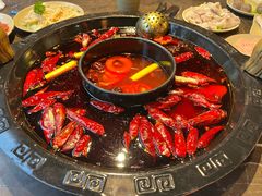 -渝大狮毛肚老火锅(遂宁万达店)