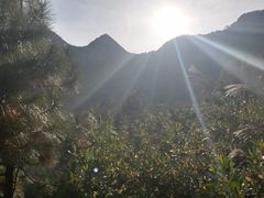-北岐滩涂