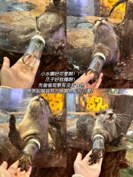 -Zoolung Zoolung动物主题公园(海信广场店)