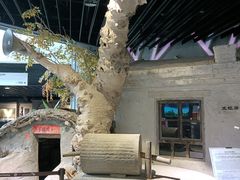 -三五九旅屯垦纪念馆