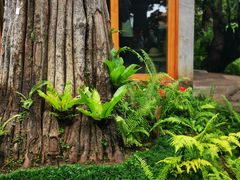 -Chom Cafe and Restaurant