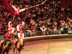 -俄罗斯国家大马戏团