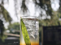 青梅乌龙苏打-MAISON门前杂货店