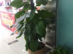 -中国移动(高升桥营业厅)