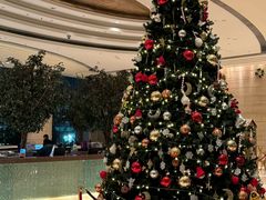-香港都会海逸酒店