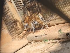 -昆明动物园
