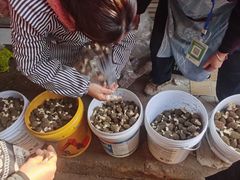 -南坛综合农贸市场