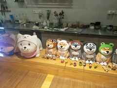 -柴务处·柴犬主题狗咖