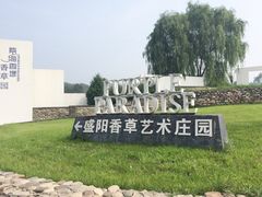 紫海香堤香草艺术庄园-紫海香堤香草艺术庄园