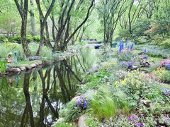 -上海共青森林公园