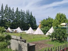 -上海长兴岛郊野公园