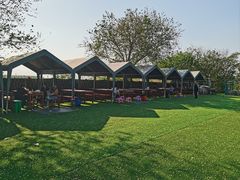 -亲兄弟真人CS团建拓展基地