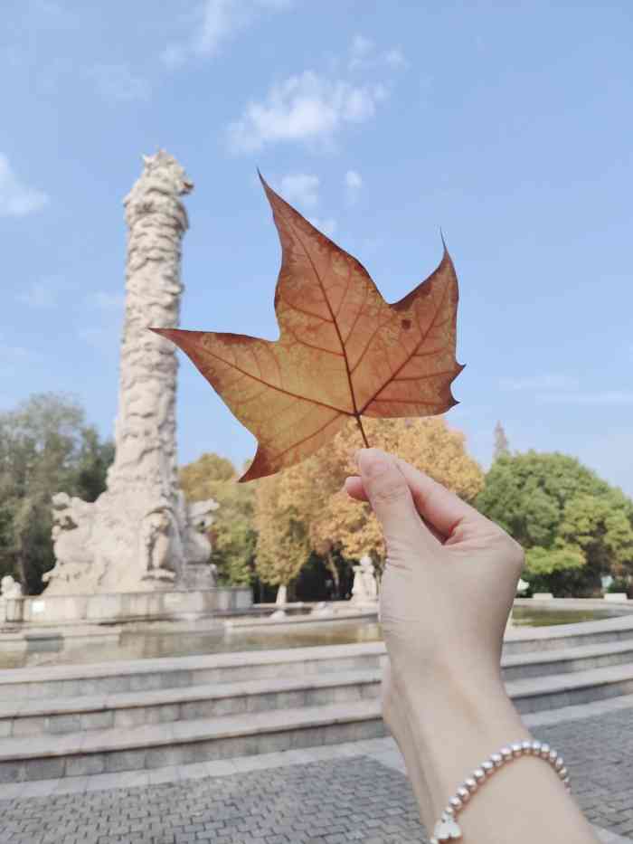 城市绿谷-"作为新开发的旅游景点这里是一个休闲娱乐的.