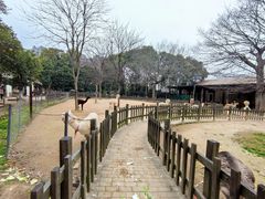 -南昌动物园