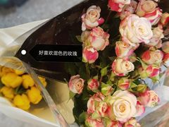 -溪岸路花鸟市场