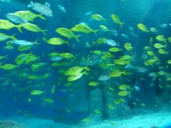 -福州罗源湾海洋世界旅游区