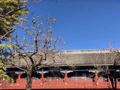 -北京石刻艺术博物馆(五塔寺)