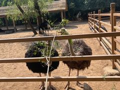 -秦皇岛野生动物园
