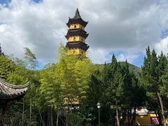 -阿育王寺