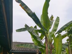 -铜锣湾·有麝自然香(重庆新天地店)