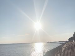 -瀛洲公园