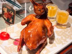 -大鸽饭(北京路店)