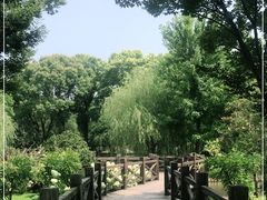 -上海鲜花港