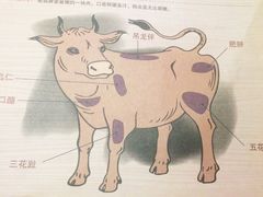 -潮汕牛肉火锅(铁西店)