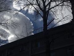 -北京外国语大学东院食堂