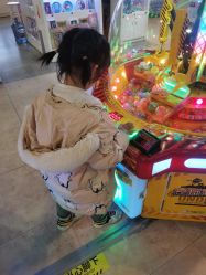 -卡通尼·Safari非洲探索乐园·生日会(金桥国际商业广场店)