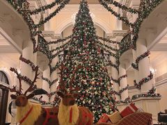 -Salon de Ville浦江汇(上海外滩华尔道夫酒店店)