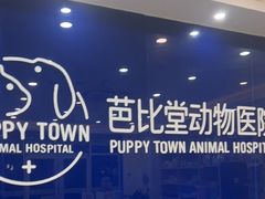 -芭比堂动物医院·24小时·眼科中心(深圳中心)