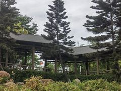 -五缘湾湿地公园