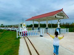 -杭州湾海上花田景区