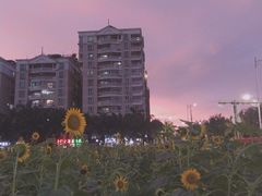 -霞山观海长廊