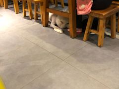 -烧蠔帮·湛江生蚝(工农店)