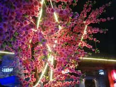 -丽江庭院之爱在路上(西单店)