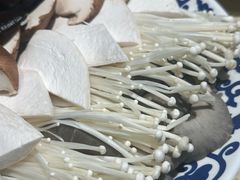 -东镇老火锅(长春路首店)