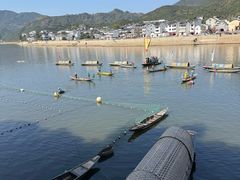 -新安江山水画廊风景区